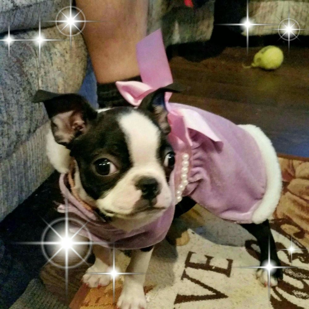 Meet your Posher, Lisa